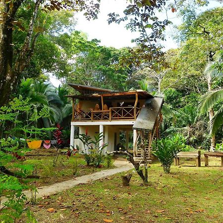Green Corner Cahuita Ngoại thất bức ảnh