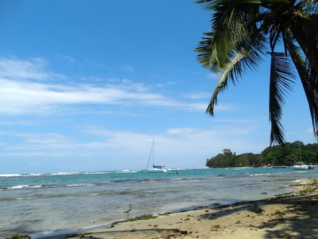 Green Corner Cahuita Ngoại thất bức ảnh