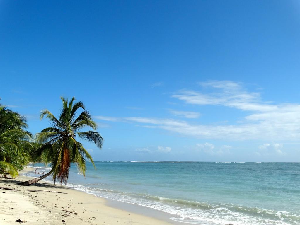 Green Corner Cahuita Ngoại thất bức ảnh